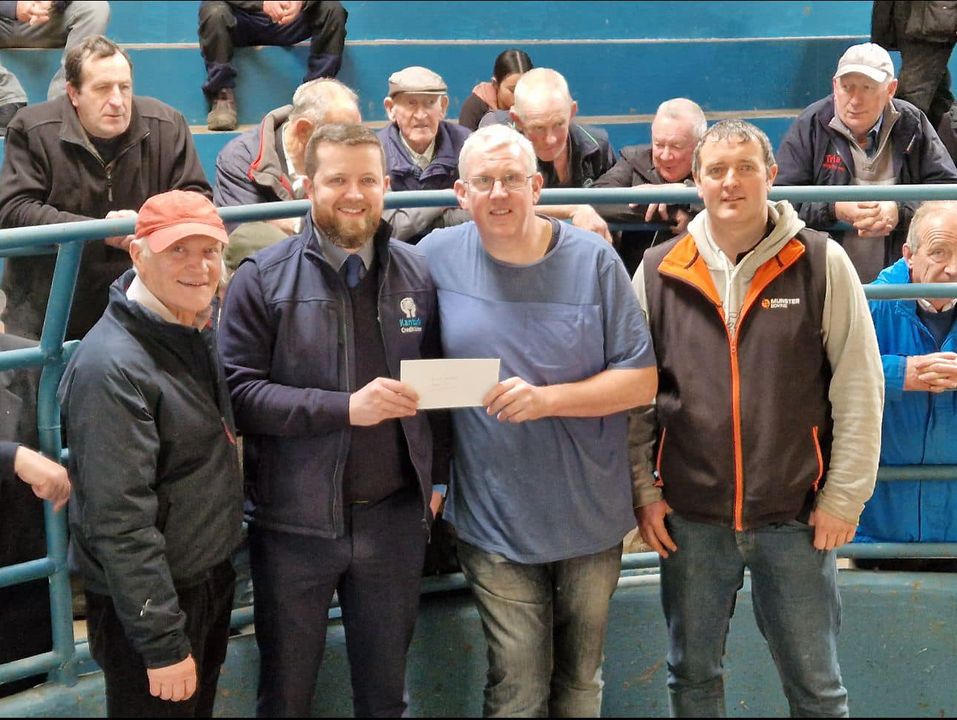 Calf Promotion Week 4.