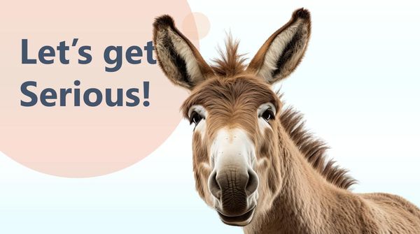 Don't Be A Money Mule!