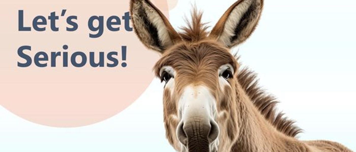 Don't Be A Money Mule!