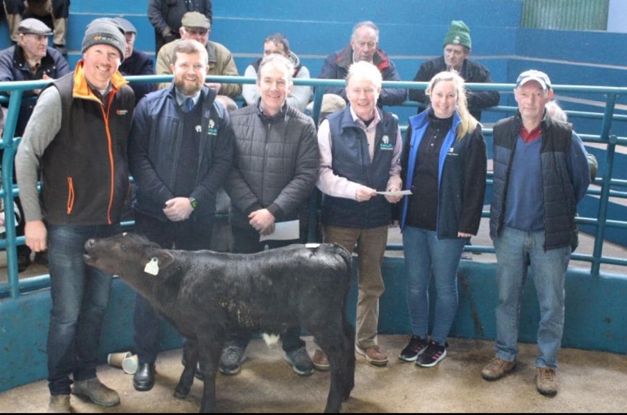 Calf Promotion Week 1.