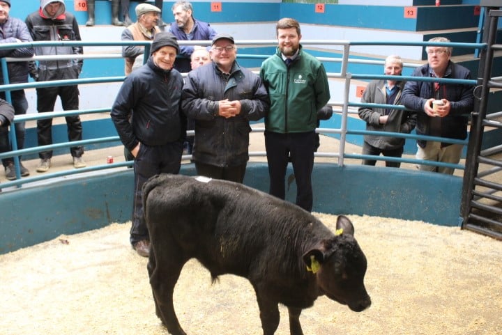 Calf Promotion 2022 (1)