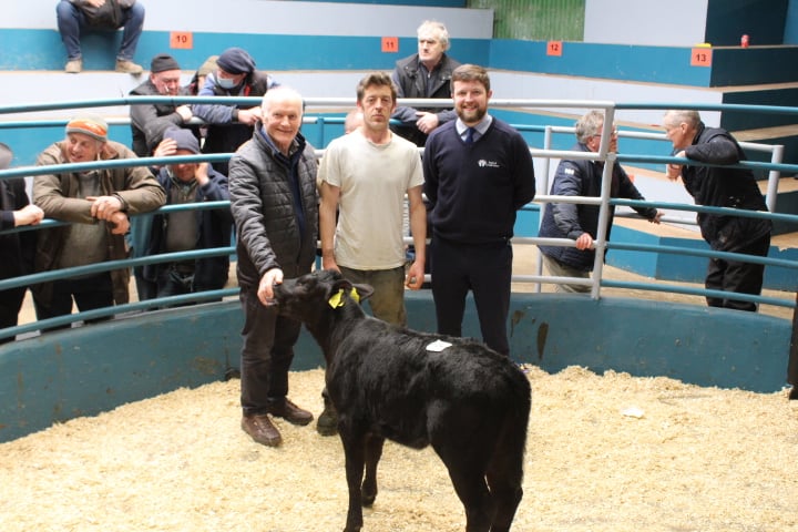 Calf Promotion 2022 (2)