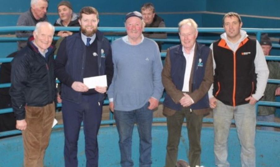 Calf Promotion Week 2.