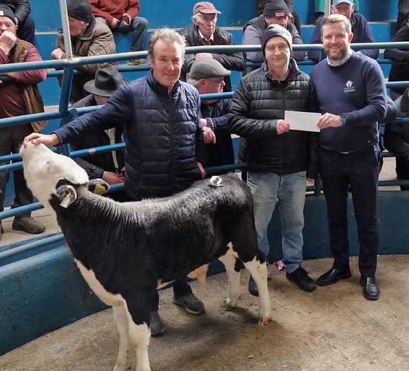 Calf Promotion 2025 Week 2