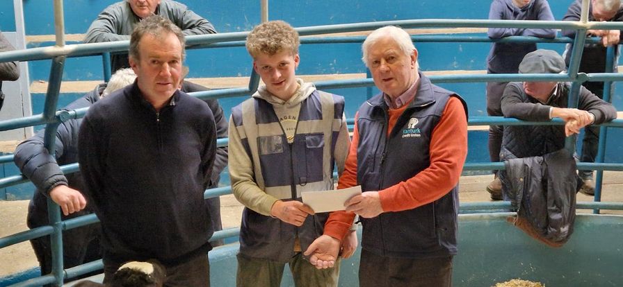 Calf Promotion 2024 Week 3!