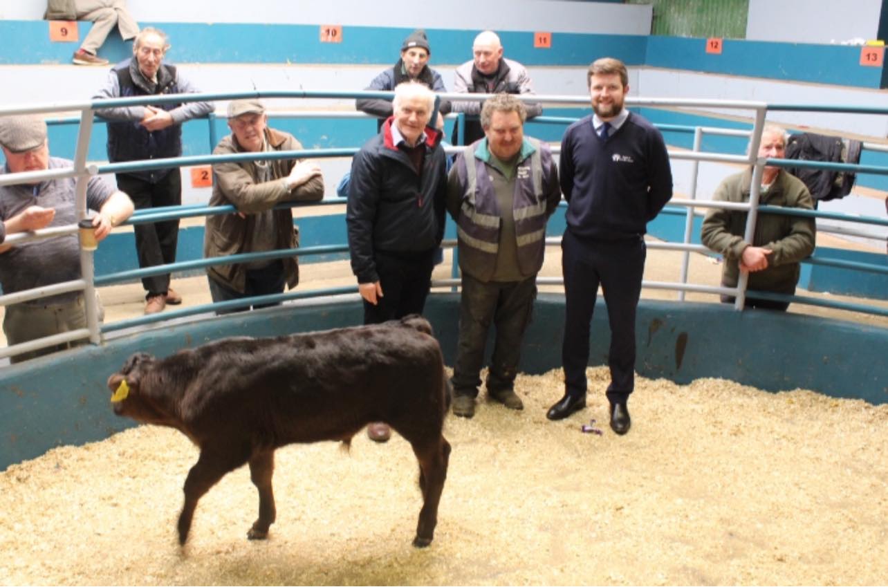 Calf Promotion 2022 (3)